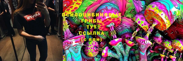 ECSTASY Инсар