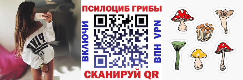Купить закладки  Инсар  Псилоцибиновые грибы GOLDEN TEACHER 